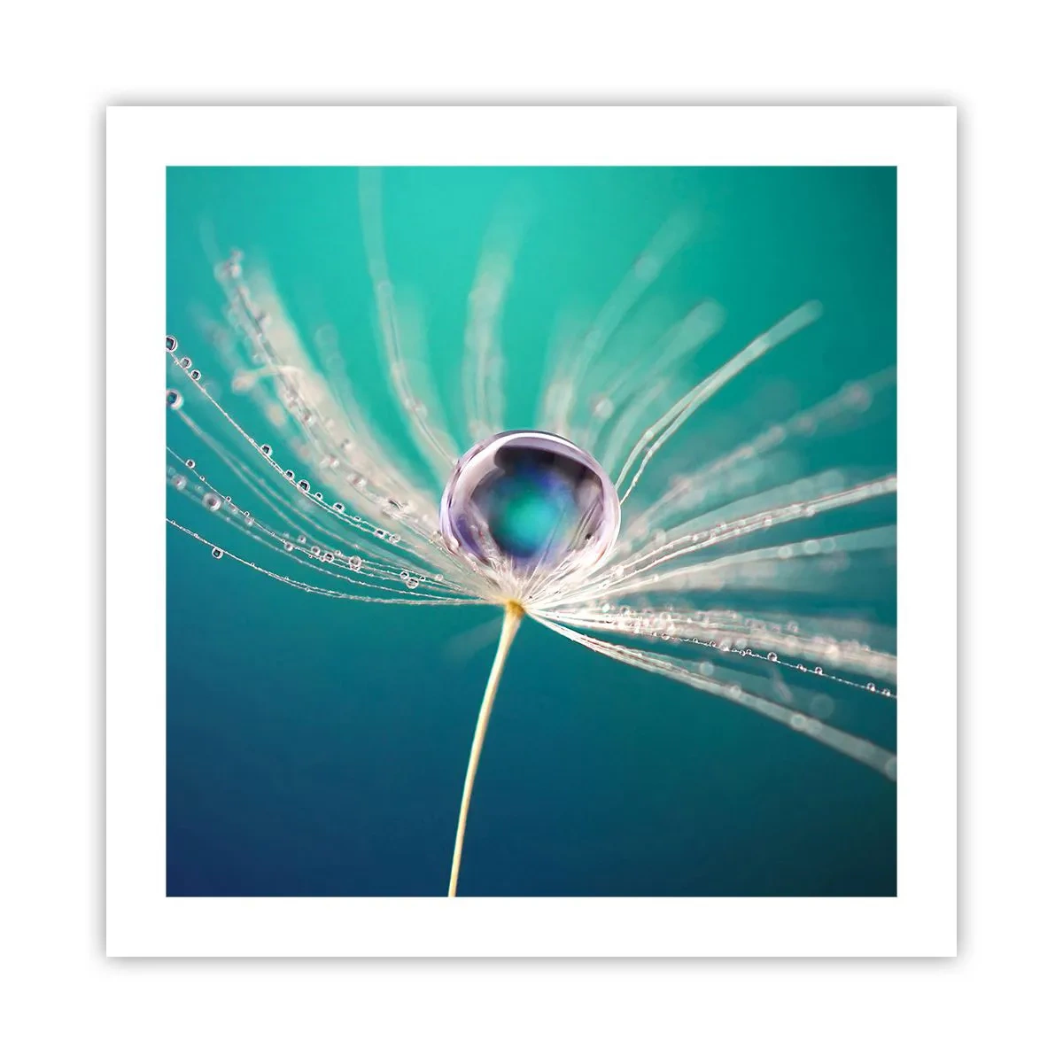 Poster - Mystischer Moment - 50x50 cm