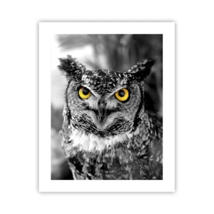 Poster - Nichts wird sich verstecken - 40x50 cm