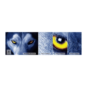 Fototapetenmuster Standard Eco - Faszinierender Blick - Tiere, Wolf, Augen - 100x30 cm