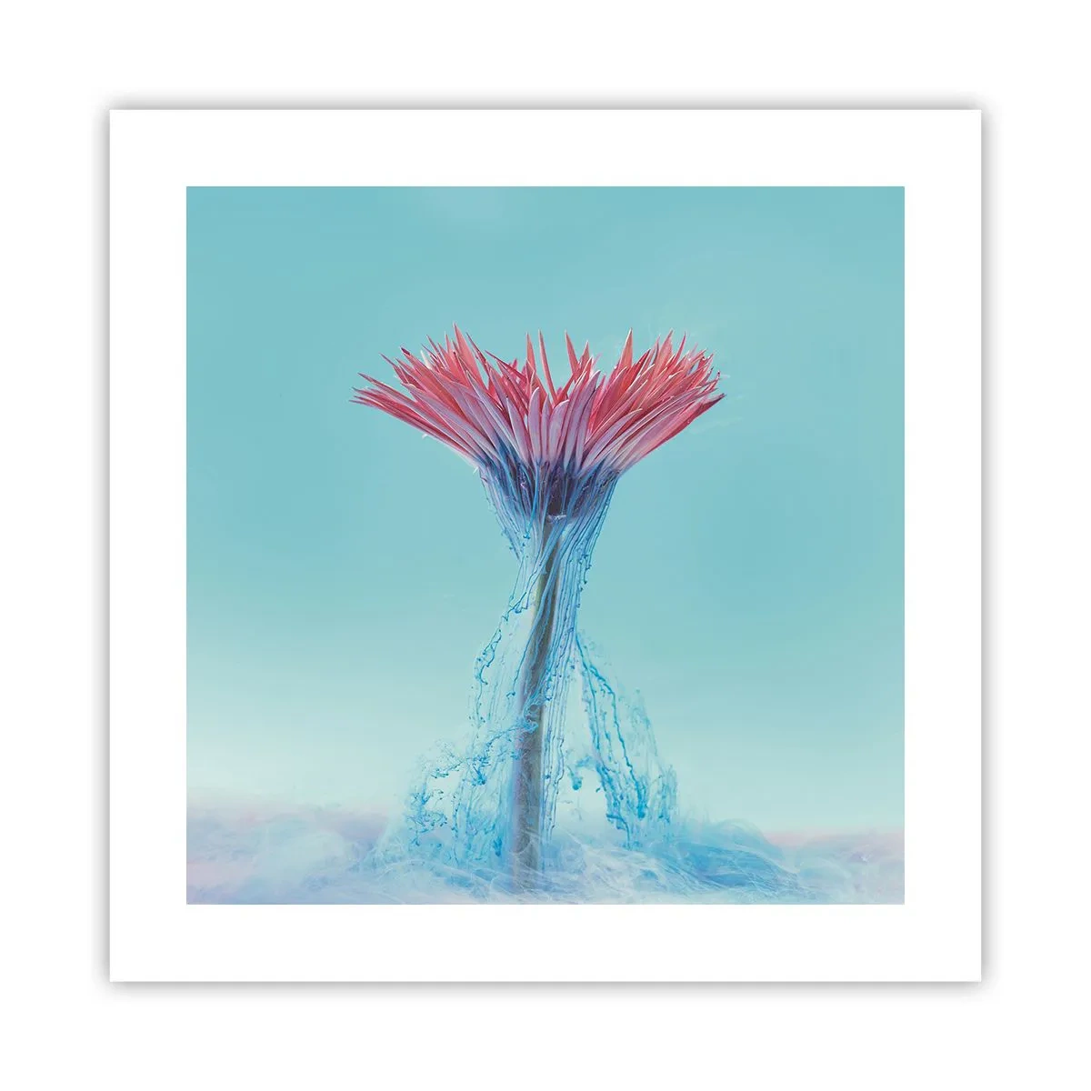 Poster - In einer belebenden Umarmung - 40x40 cm