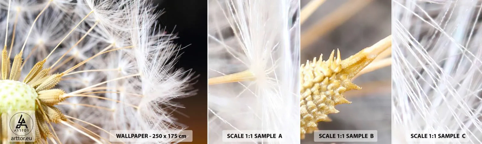 Fototapeten Muster Selbstklebend Deluxe Sticker - Kurz vor dem Abflug - Blume, Anlage, Natur - 100x30 cm