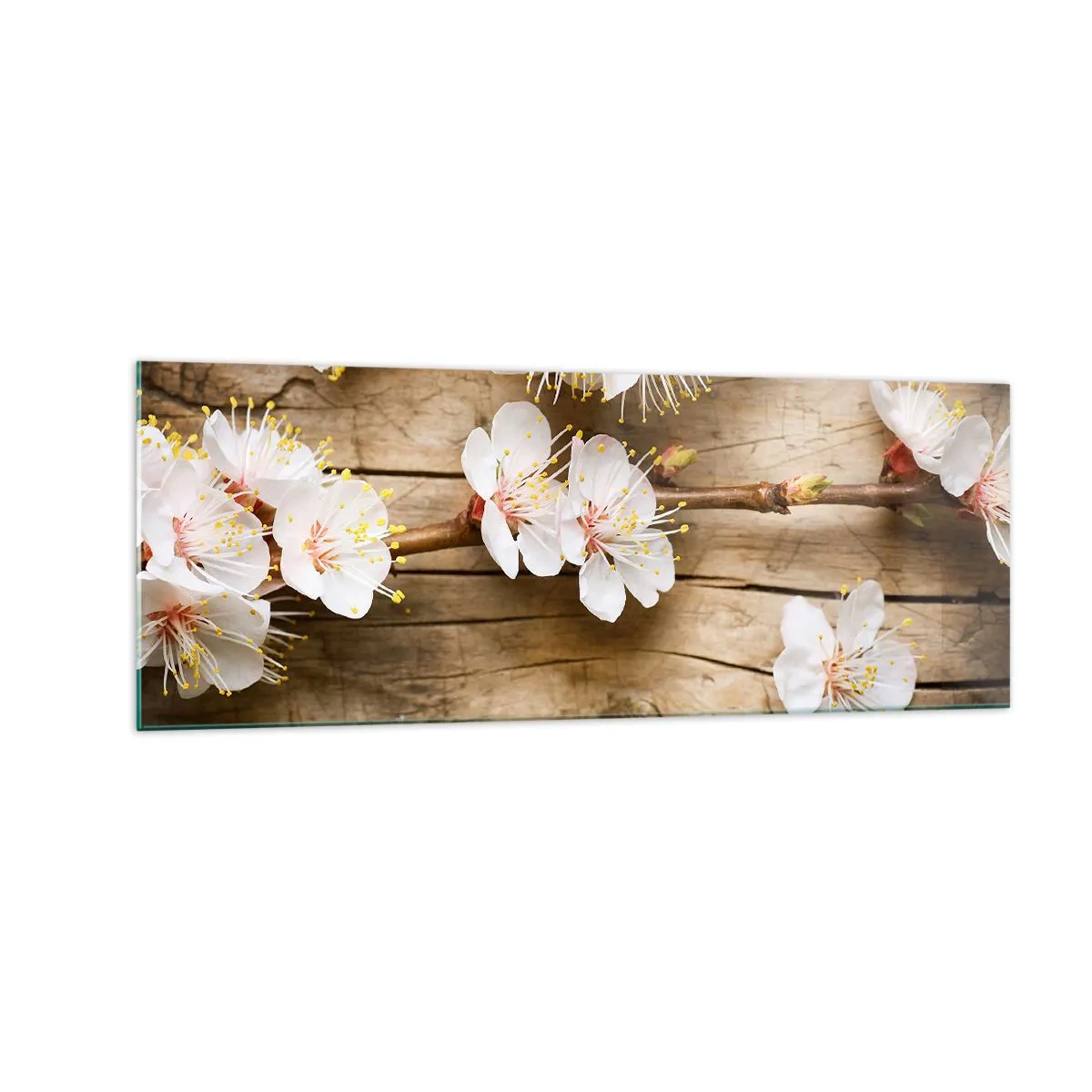 Glasbild - Bild auf glas - Zweige blühender Kirschbäume auf einem Holzbretthintergrund - 140x50cm - Und es war Frühling - Moderne Wanddekoration für Wohnzimmer und Schlafzimmer ARTTOR