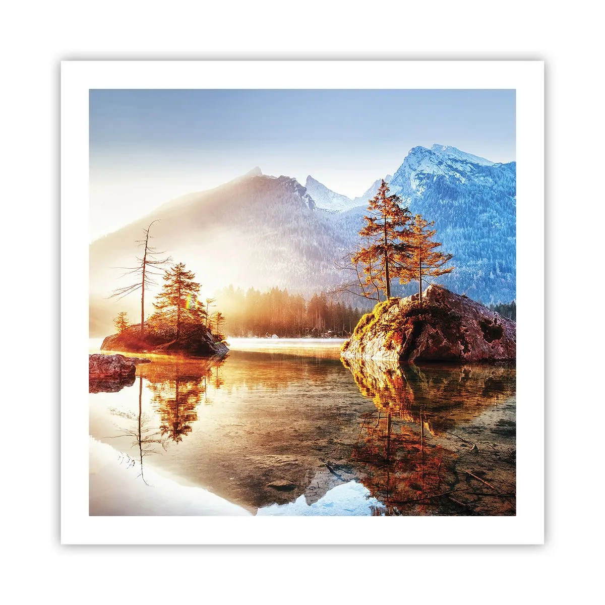 Poster - Natur in neuem Licht - 60x60 cm