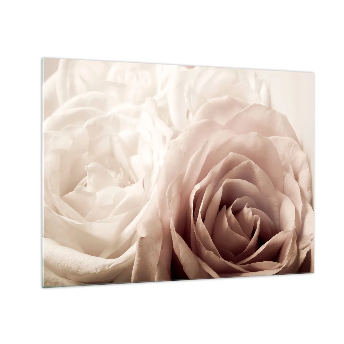 Glasbild - Bild auf glas - Zarte helle Rosen in romantischer Nahaufnahme - 70x50cm - Im Herzen der Rose - Moderne Wanddekoration für Wohnzimmer und Schlafzimmer ARTTOR