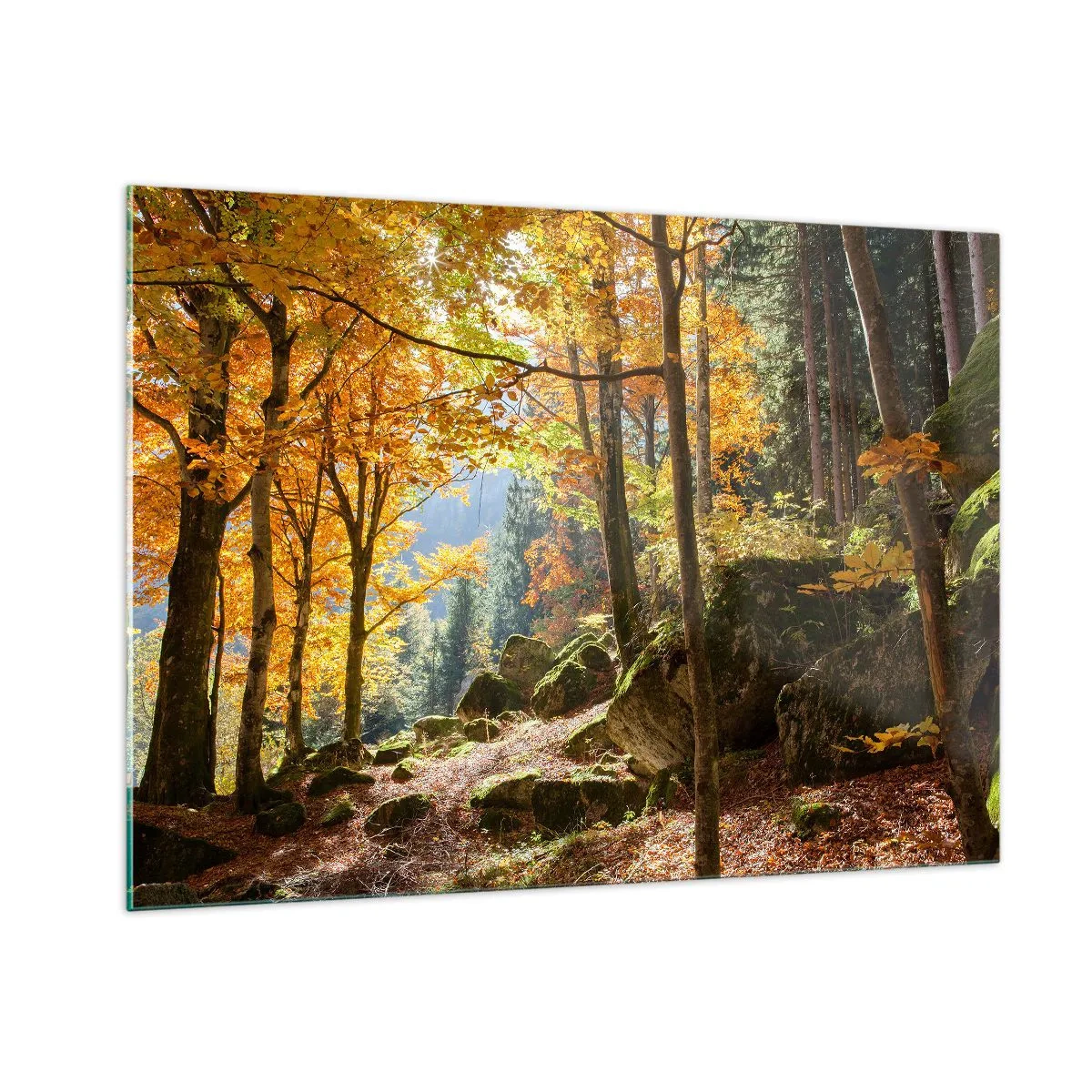 Glasbild - Bild auf glas - Herbstwald mit Sonnenstrahlen und Steinen - 100x70cm - Zeit zum Entspannen - Moderne Wanddekoration für Wohnzimmer und Schlafzimmer ARTTOR