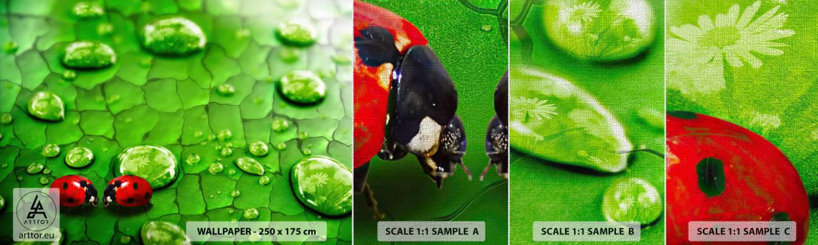 Fototapeten Muster Premium Canvas - Treffen im Grünen - Natur, Marienkäfer, Ein Wassertropfen - 100x30 cm