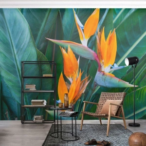 Fototapete Premium Sand - Exotische Strelitzienblüten vor einem Hintergrund aus großen grünen Blättern - 100x70cm - Ist es eine Blume oder ist es ein Vogel? - Moderne Wanddekoration für Wohnzimmer und Schlafzimmer ARTTOR