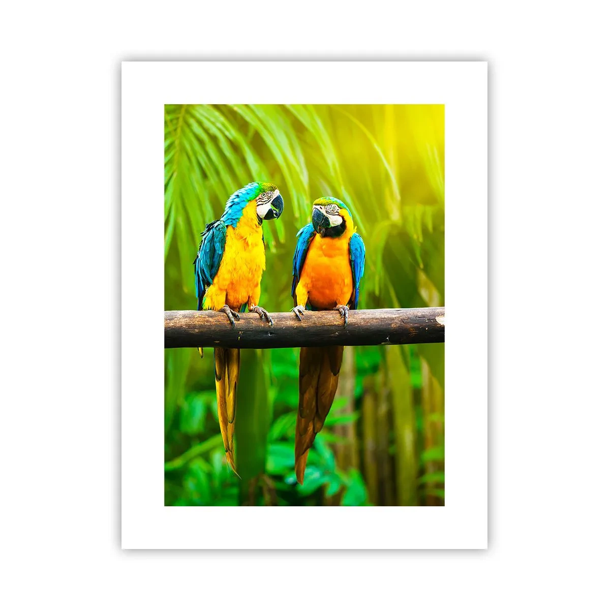 Poster - Und hast du gehört, dass sie ...? - 30x40 cm