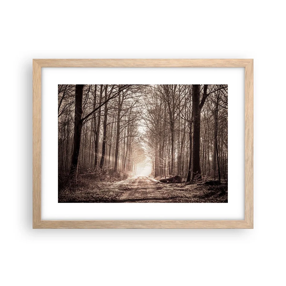 Poster in einem Rahmen aus heller Eiche - Waldkathedrale - 40x30 cm