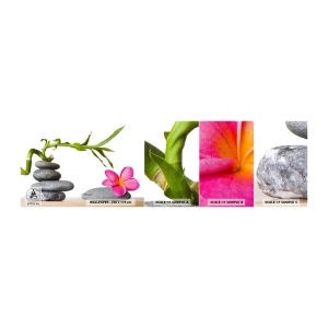 Fototapetenmuster Standard Eco - Farben des Lebens und der Dauer - Blume, Steine, Spa - 100x30 cm
