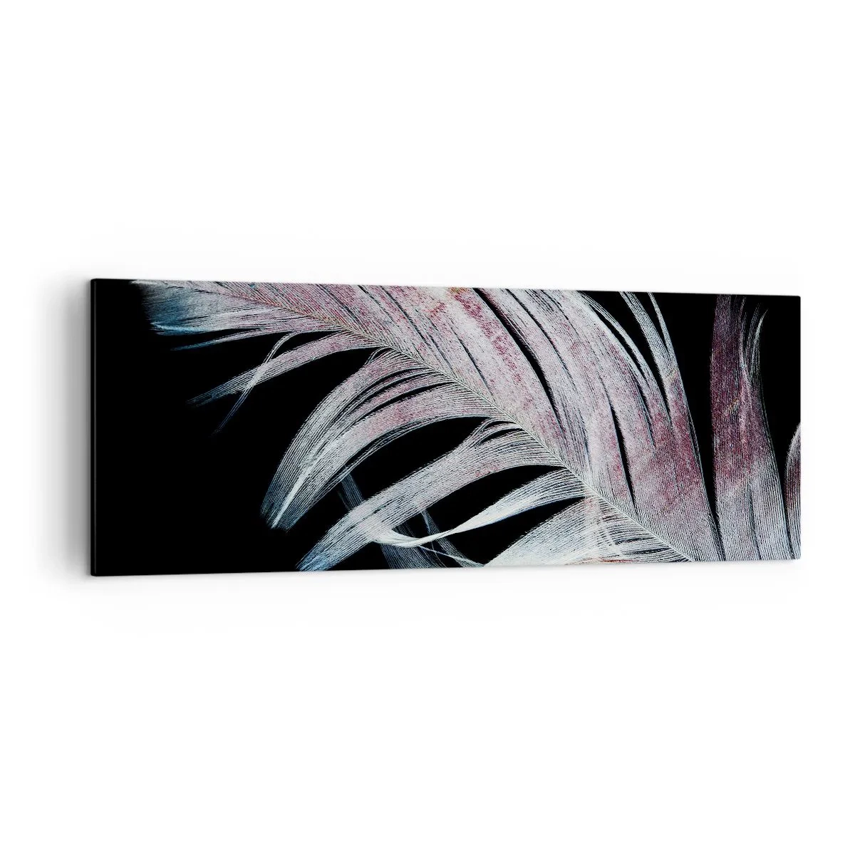 Bild auf Leinwand - Leinwandbild - Eine zarte Feder auf schwarzem Hintergrund in einem künstlerischen Ansatz - 140x50cm - Denke an Berührung - Moderne Wanddekoration für Wohnzimmer und Schlafzimmer ARTTOR