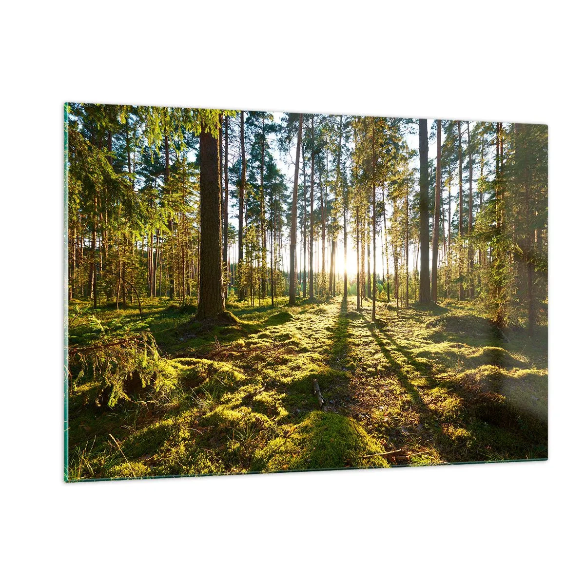 Glasbild - Bild auf glas - Sonnenstrahlen dringen durch die Bäume im Wald - 120x80cm - … Hinter den sieben Wäldern - Moderne Wanddekoration für Wohnzimmer und Schlafzimmer ARTTOR