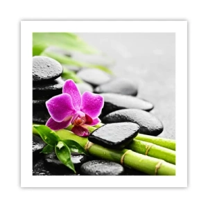 Poster - In ruhiger Balance - 50x50 cm