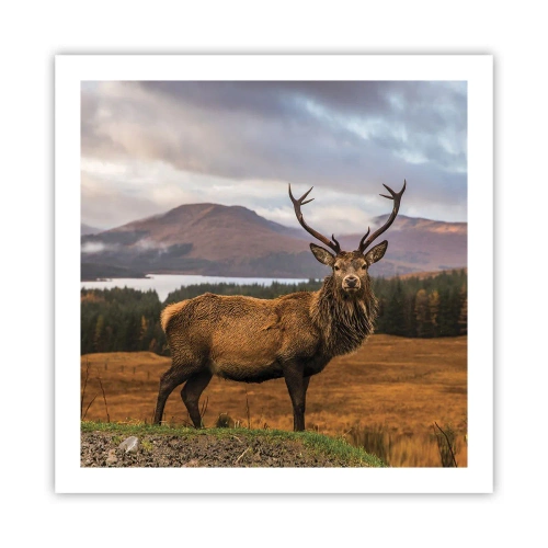 Poster - Die Majestät der Natur - 60x60 cm