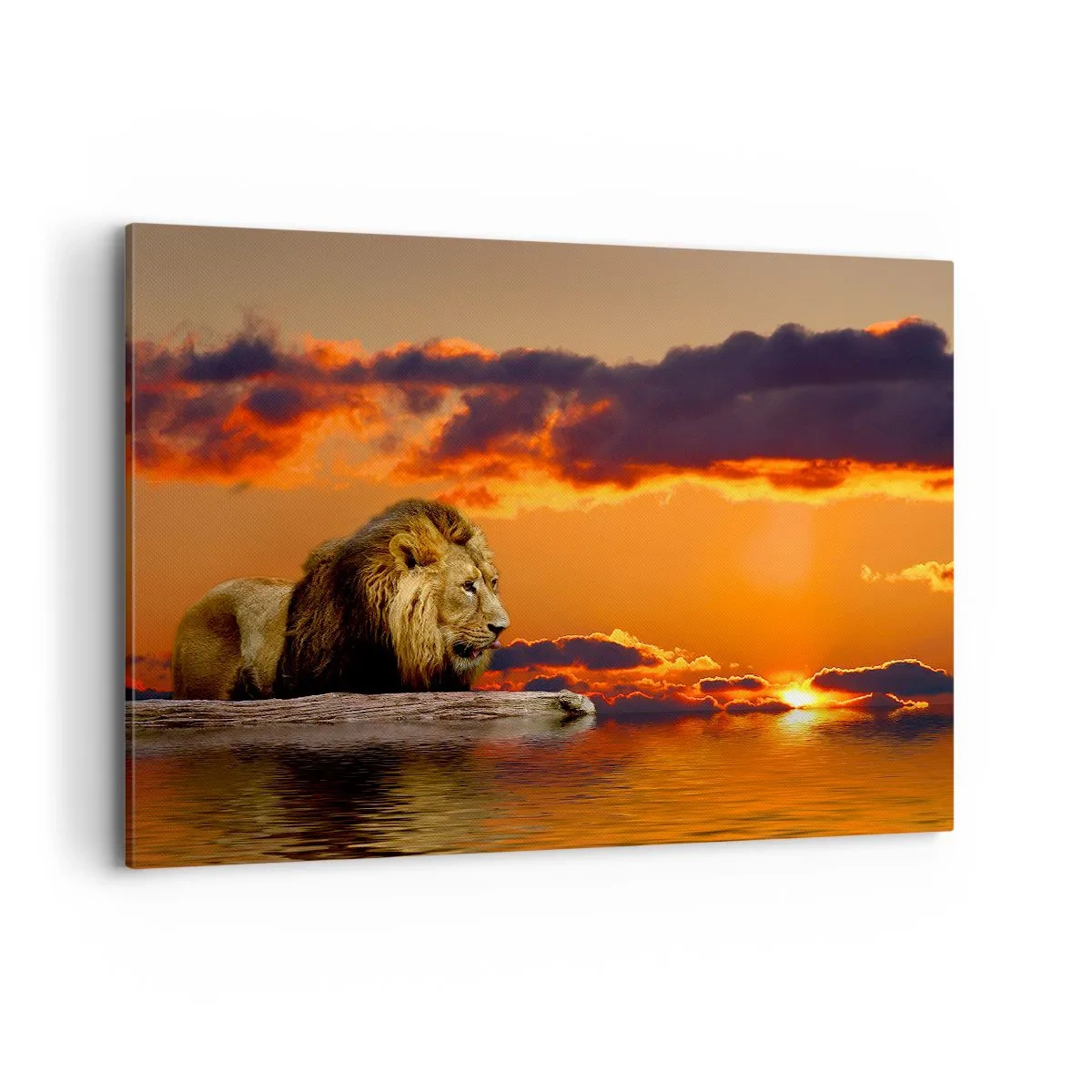 Bild auf Leinwand - Leinwandbild - Ein Löwe ruht bei Sonnenuntergang vor einem dramatischen Himmel am Wasser. - 120x80cm - König der Natur - Moderne Wanddekoration für Wohnzimmer und Schlafzimmer ARTTOR