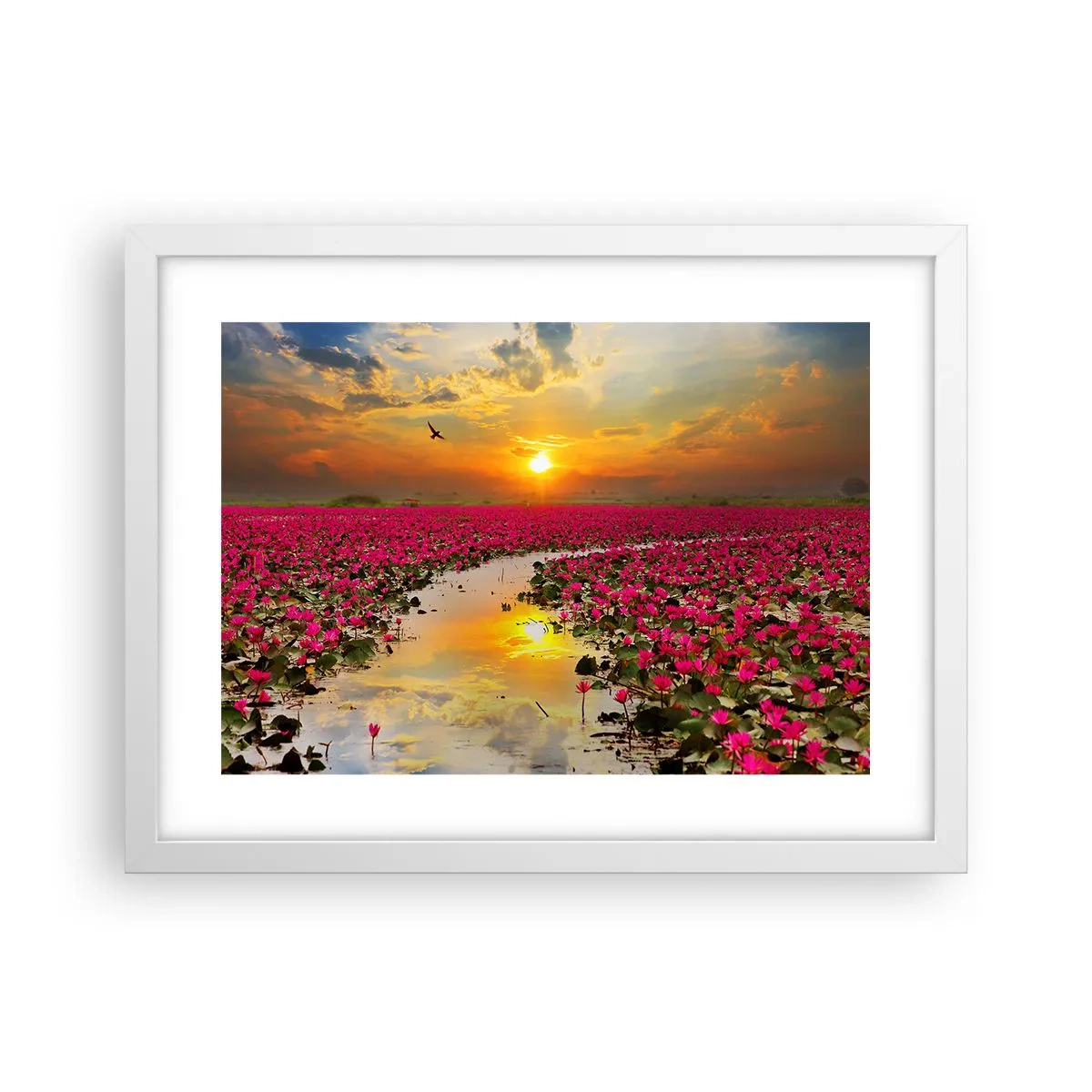 Poster in einem weißen Rahmen - Das geheime Leben des Sees - 40x30 cm