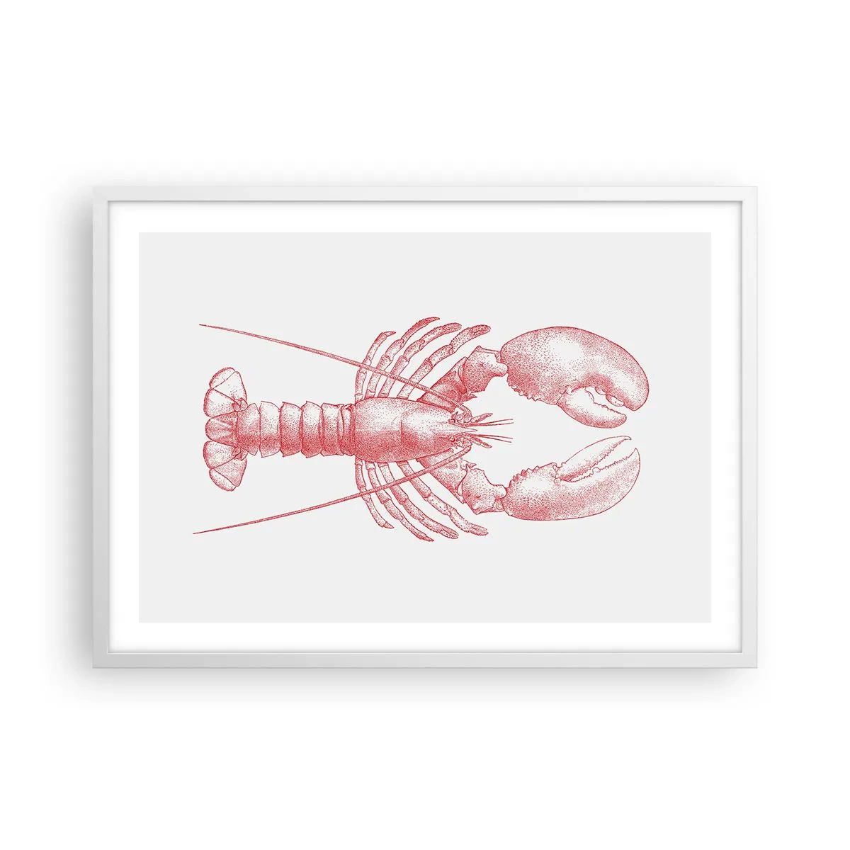 Poster in einem weißen Rahmen - Hummer, der Homers würdig ist - 70x50 cm