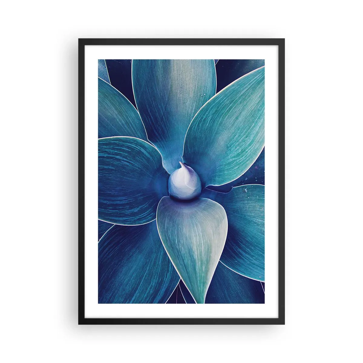 Poster in einem schwarzem Rahmen - Detail einer großen Blume in Blautönen - 50x70cm - Bläulich vom Himmel - Moderne Wanddekoration für Wohnzimmer und Schlafzimmer ARTTOR