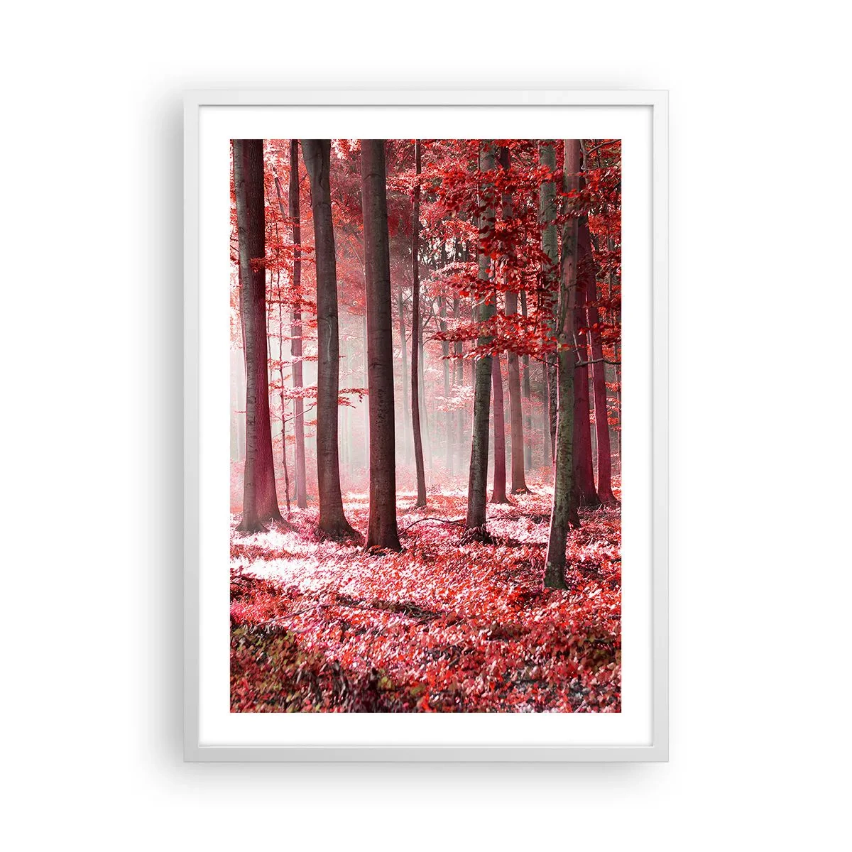 Poster in einem weißen Rahmen - Rot ist genauso schön - 50x70 cm