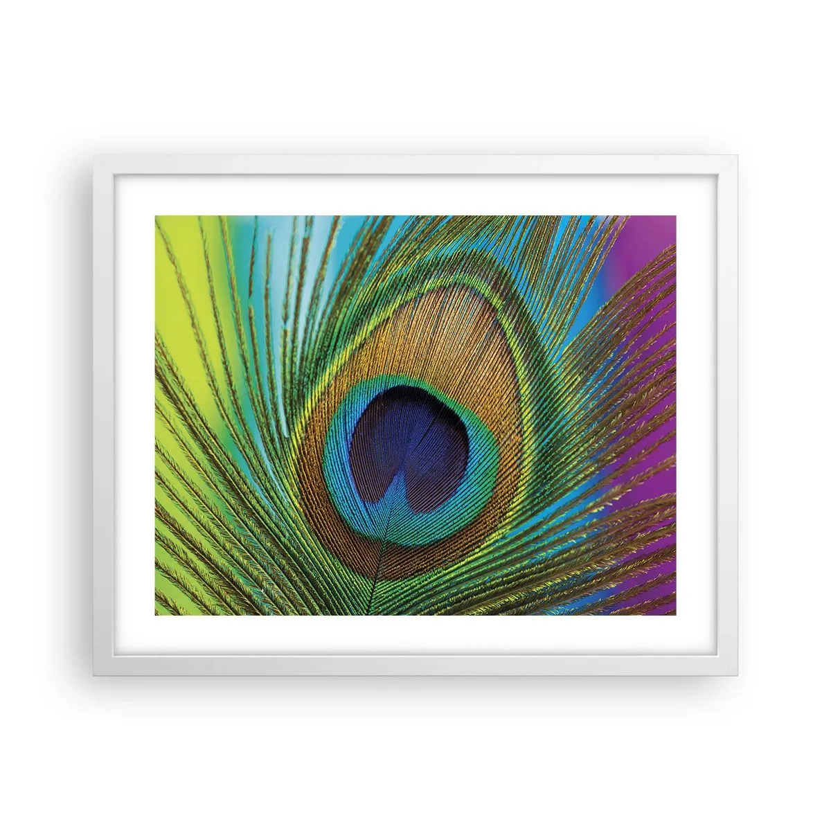 Poster in einem weißen Rahmen - Auge in Auge - 50x40 cm