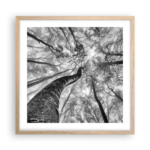 Poster in einem Rahmen aus heller Eiche - Rennen zum Licht - 50x50 cm