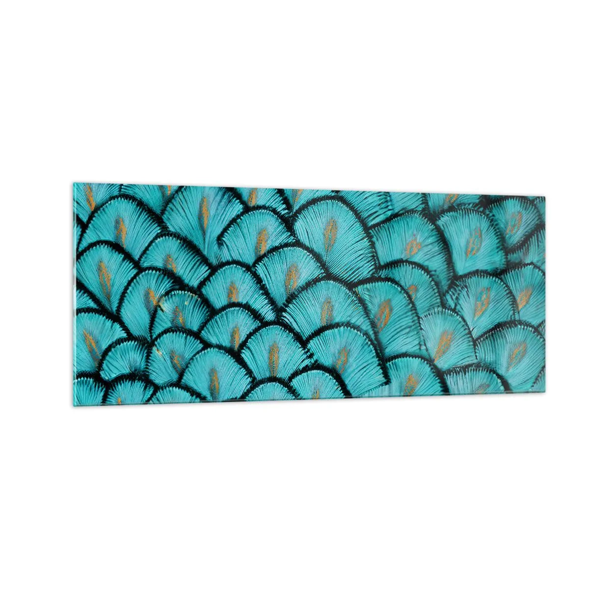 Glasbild - Bild auf glas - Große Federgala - 100x40 cm