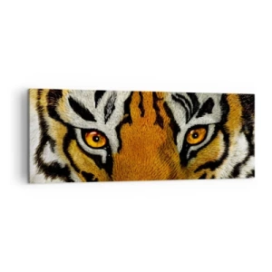 Bild auf Leinwand - Leinwandbild - Nahaufnahme eines Tigers mit intensivem Blick - 140x50cm - Schrecklich und schön - Moderne Wanddekoration für Wohnzimmer und Schlafzimmer ARTTOR