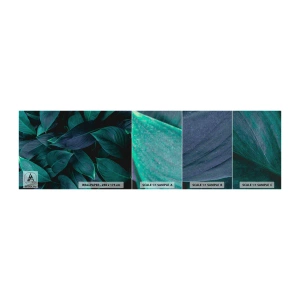 Fototapeten Muster Premium Canvas - Grün in sich selbst - Blätter, Natur, Botanik - 100x30 cm