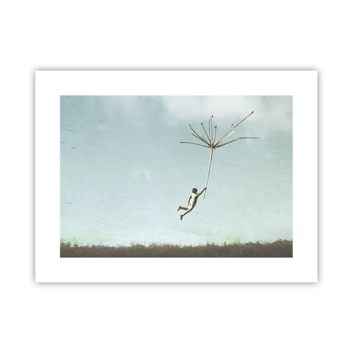 Poster - Drachen, Löwenzahn, Wind - 40x30 cm