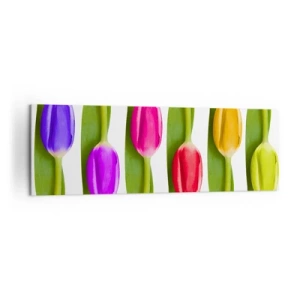 Bild auf Leinwand - Leinwandbild - Bunte Tulpen in einer Reihe auf weißem Hintergrund angeordnet - 160x50cm - Regenbogenkomposition - Moderne Wanddekoration für Wohnzimmer und Schlafzimmer ARTTOR
