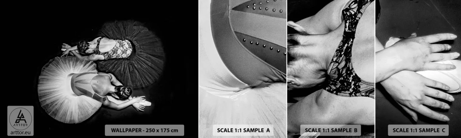 Fototapetenmuster Standard Eco - Jin und Jang – perfekte Balance - Ballerina, Ballett, Tanzen - 100x30 cm