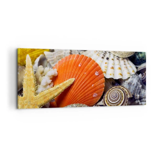 Bild auf Leinwand - Leinwandbild - Schätze des Ozeans - 100x40 cm
