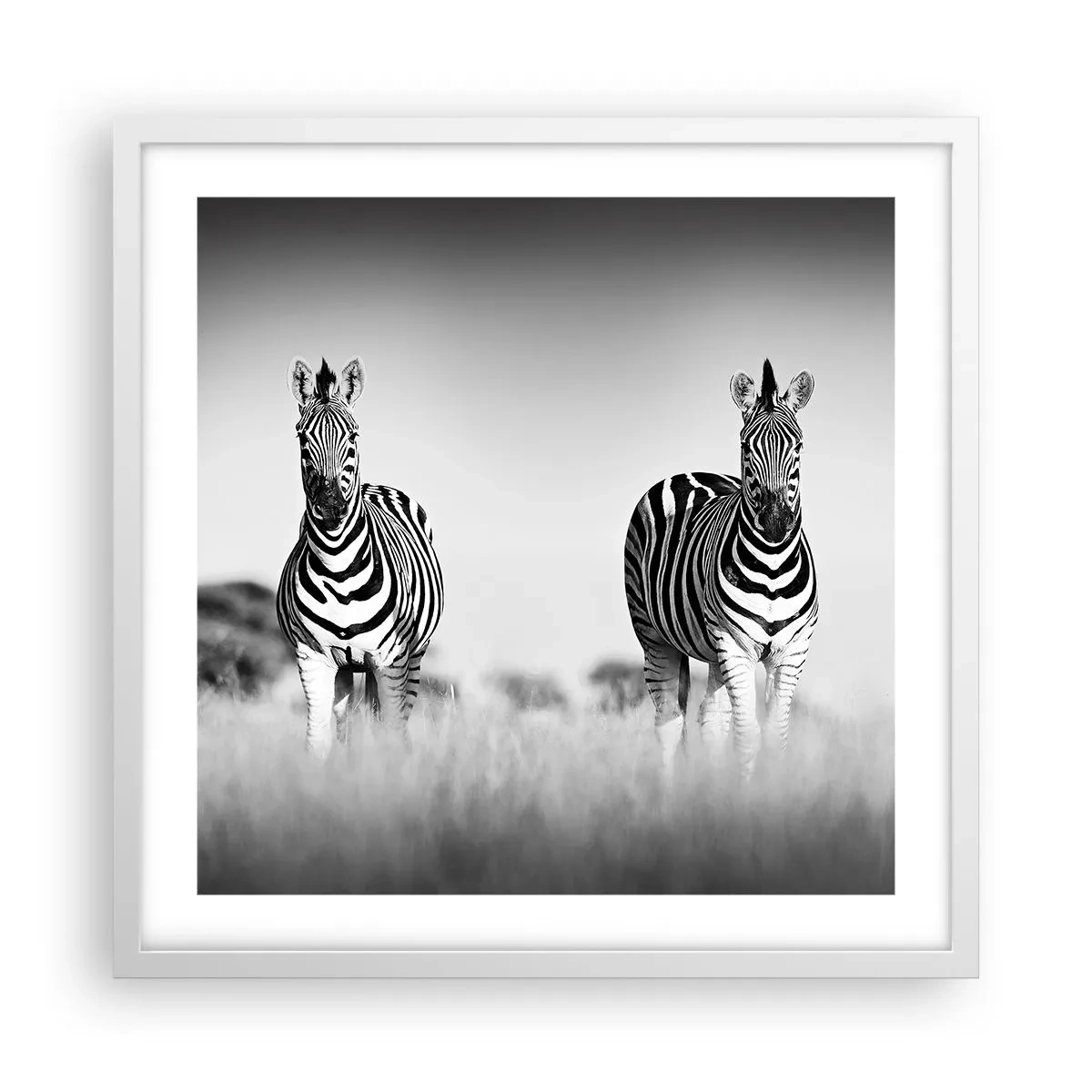 Poster in einem weißen Rahmen - Die Welt ist doch schwarz-weiß - 50x50 cm