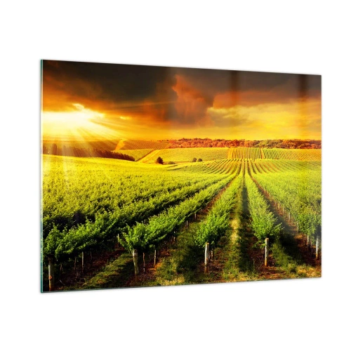 Glasbild - Bild auf glas - Weinberg im Licht der untergehenden Sonne - 100x70cm - Unter der australischen Sonne - Moderne Wanddekoration für Wohnzimmer und Schlafzimmer ARTTOR