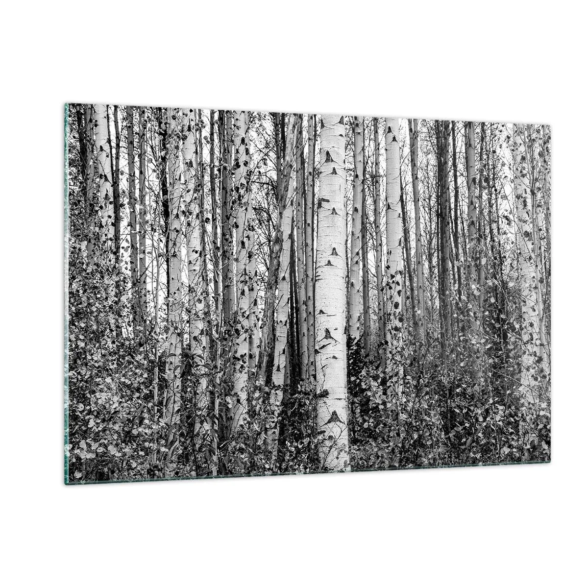 Glasbild - Bild auf glas - Schwarze und weiße Birken schaffen eine dichte Waldlandschaft - 120x80cm - Birkenkolonnade - Moderne Wanddekoration für Wohnzimmer und Schlafzimmer ARTTOR