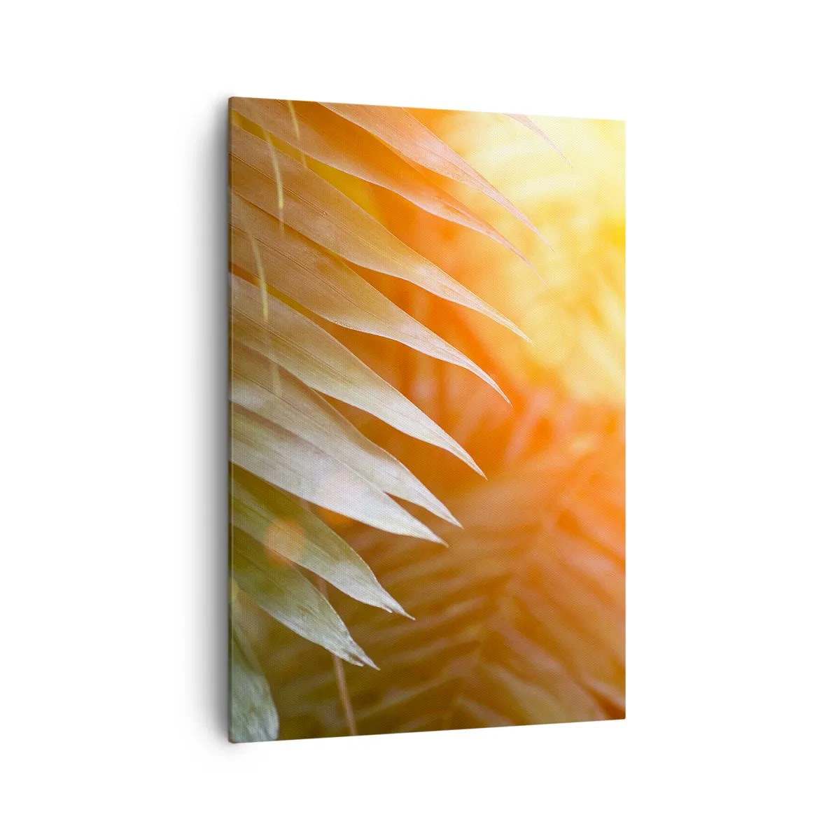 Bild auf Leinwand - Leinwandbild - Palmblätter in den Strahlen des Sonnenuntergangs - 70x100cm - Morgen im Dschungel - Moderne Wanddekoration für Wohnzimmer und Schlafzimmer ARTTOR