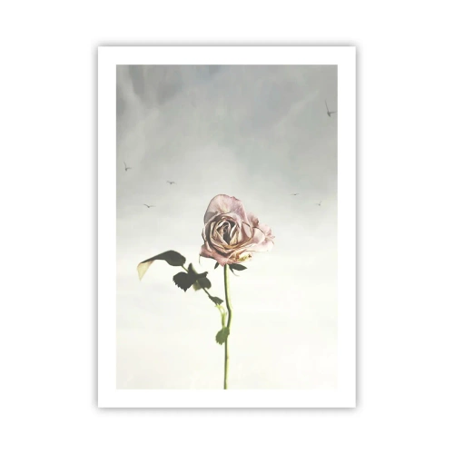 Poster - Eine zarte Rose vor einem zarten Himmel - 50x70cm - Begrüßung des Frühlings - Moderne Wanddekoration für Wohnzimmer und Schlafzimmer ARTTOR