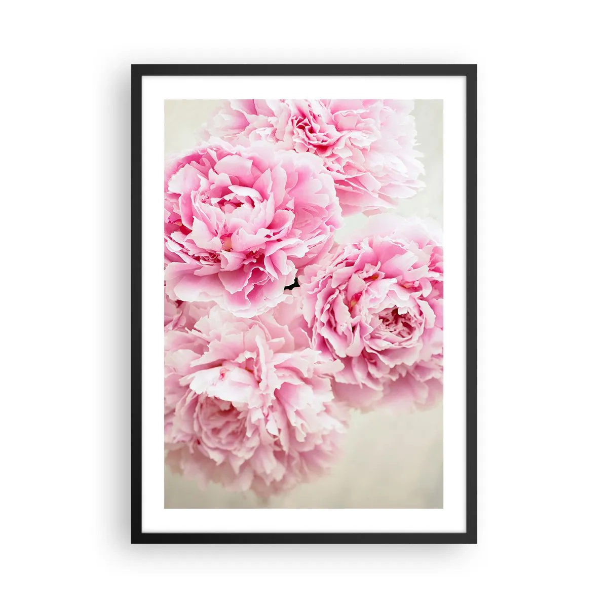 Poster in einem schwarzem Rahmen - Ein Strauß rosa Pfingstrosen auf hellem Hintergrund - 50x70cm - In rosa Glamour - Moderne Wanddekoration für Wohnzimmer und Schlafzimmer ARTTOR