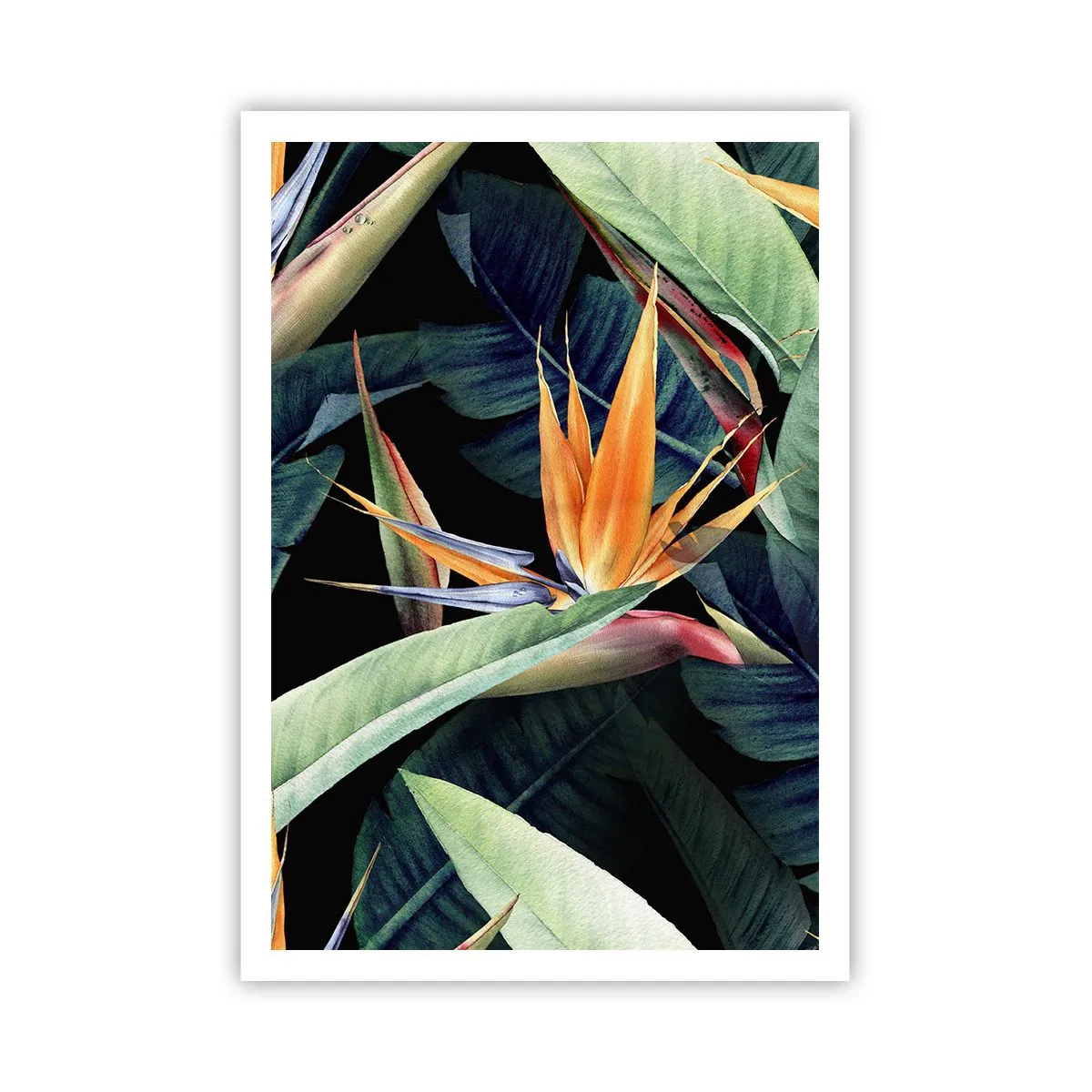 Poster - Flammende Blumen der Tropen - 70x100 cm