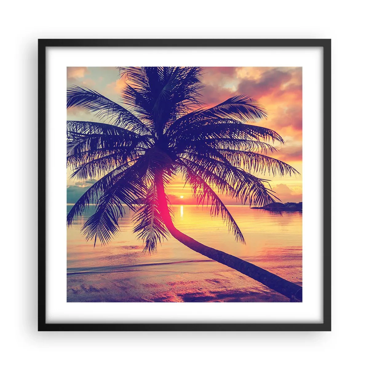 Poster in einem schwarzem Rahmen - Abend unter Palmen - 50x50 cm