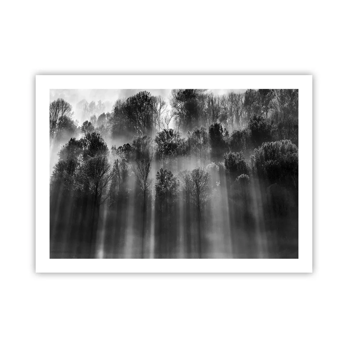 Poster - In Lichtstrahlen - 70x50 cm