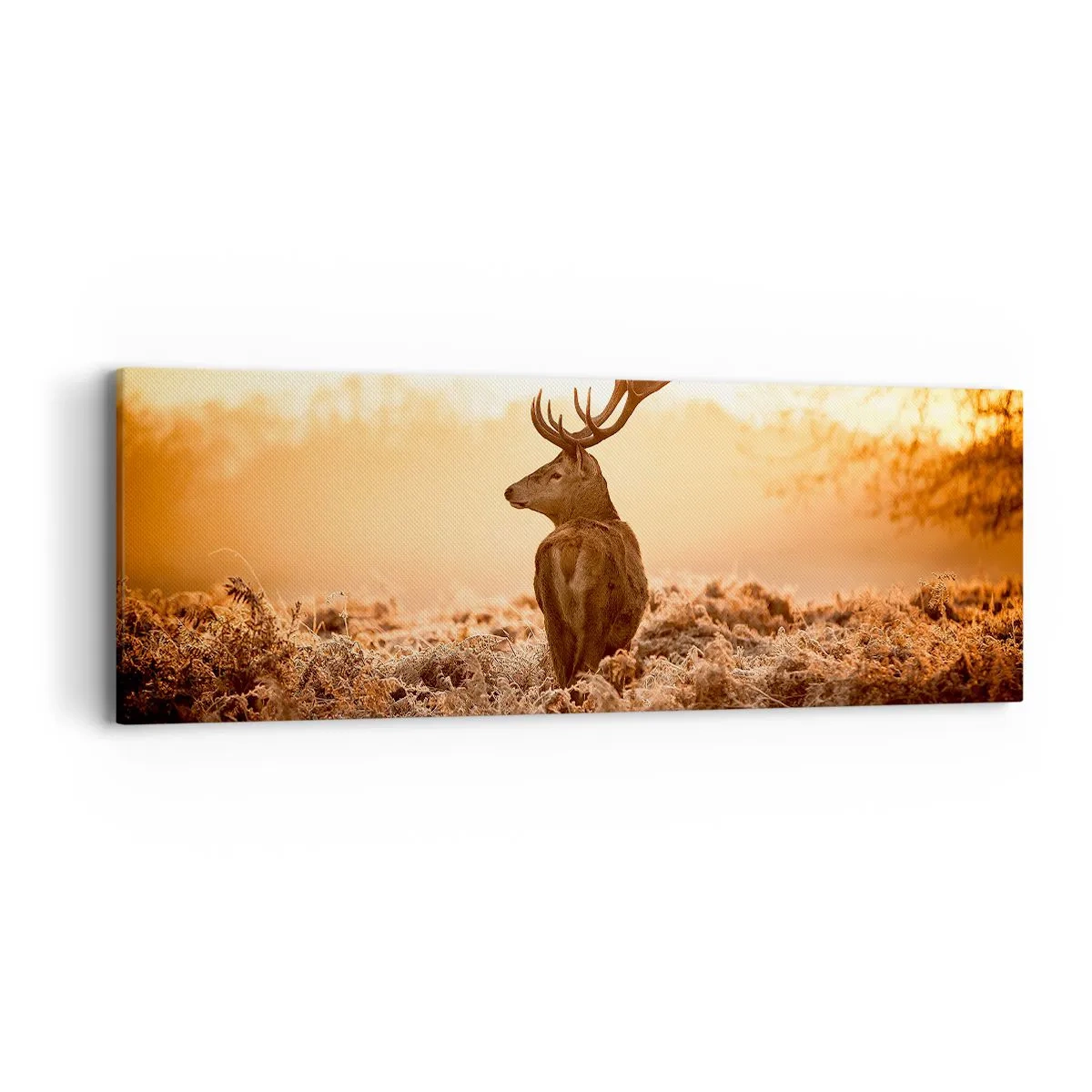 Bild auf Leinwand - Leinwandbild - Herr im eigenen Land - 90x30 cm