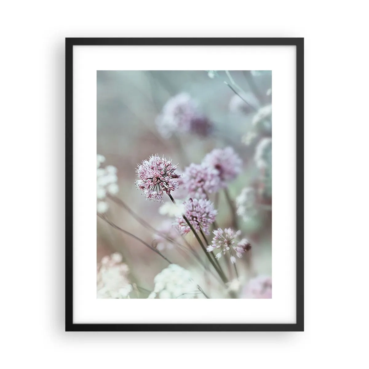 Poster in einem schwarzem Rahmen - Süße filigrane Kräuter - 40x50 cm