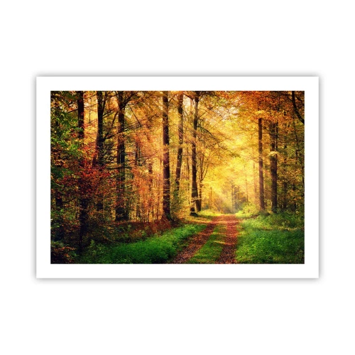 Poster - Waldgoldene Stille - 70x50 cm
