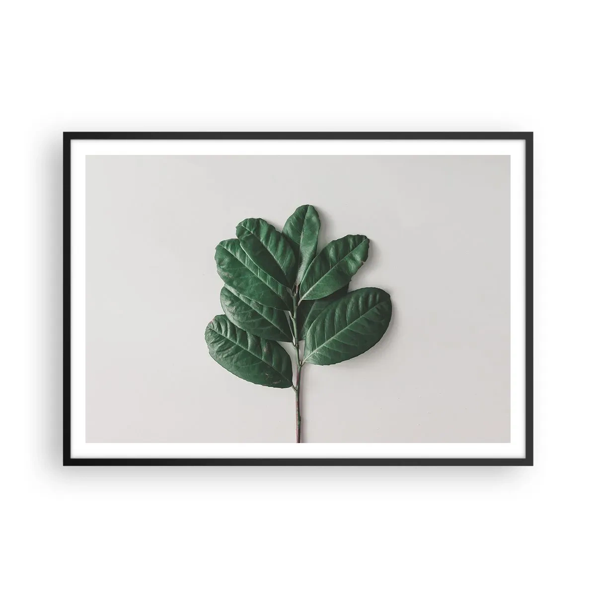 Poster in einem schwarzem Rahmen - Ein Zweig grüner Blätter auf hellem Hintergrund - 100x70cm - Eine Zeichnung purer Natur - Moderne Wanddekoration für Wohnzimmer und Schlafzimmer ARTTOR