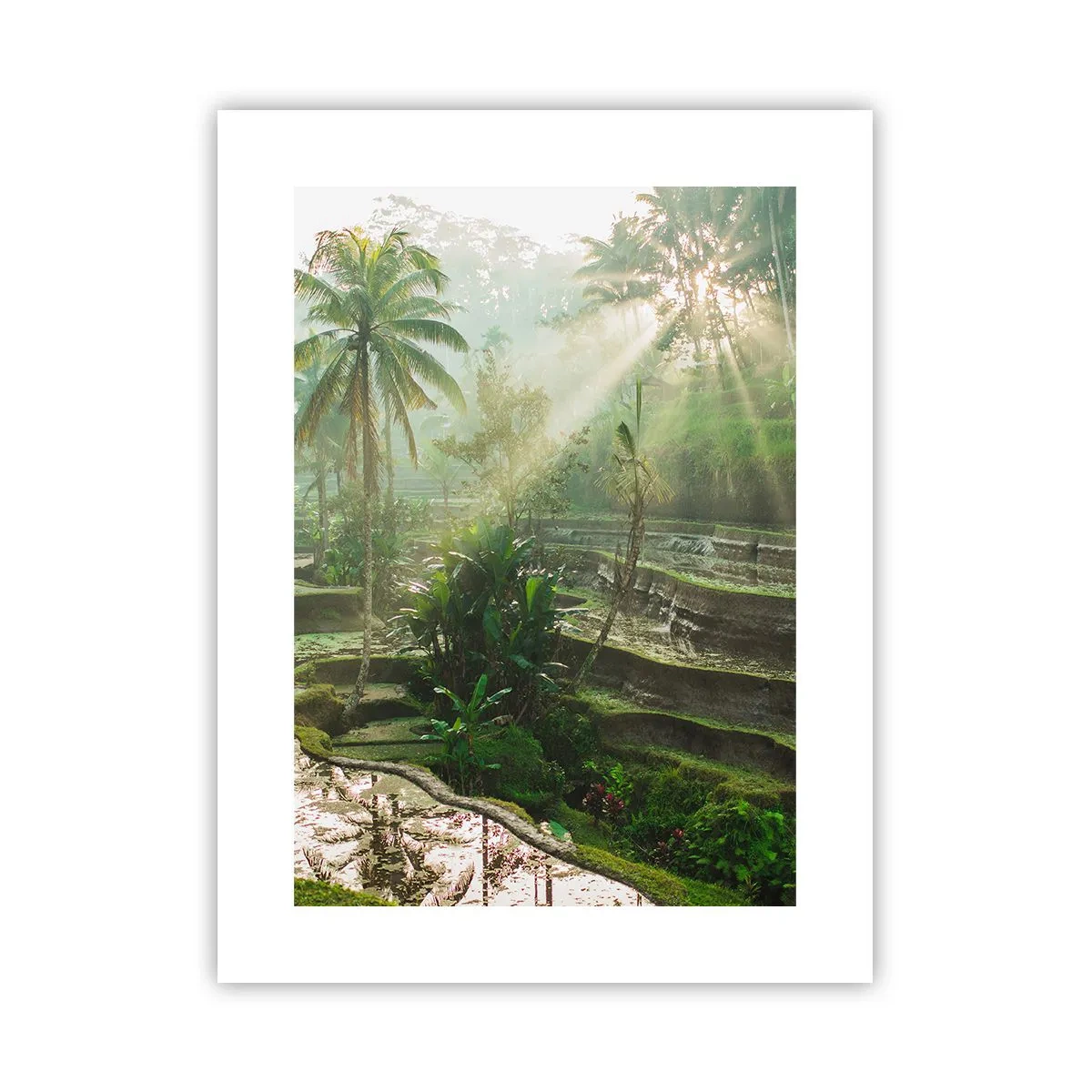 Poster - In der Sonne aufwachsen - 30x40 cm