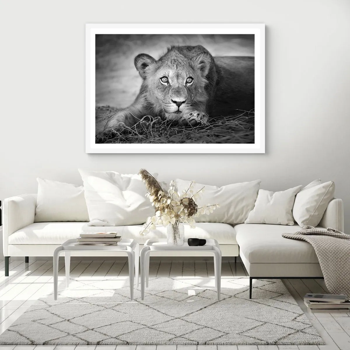Poster in einem weißen Rahmen - Königlicher Welpe - 70x50 cm