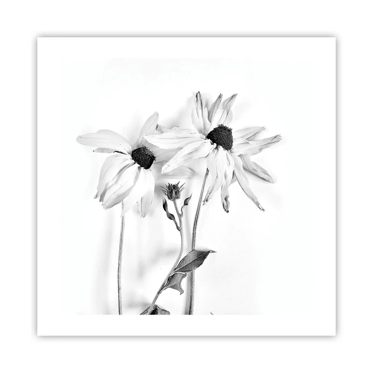 Poster - Niemand will allein sein - 50x50 cm