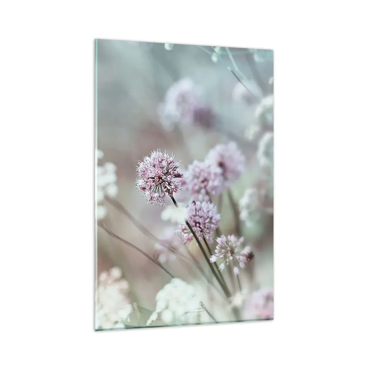 Glasbild - Bild auf glas - Zarte Blüten in Pastelltönen - 80x120cm - Süße filigrane Kräuter - Moderne Wanddekoration für Wohnzimmer und Schlafzimmer ARTTOR