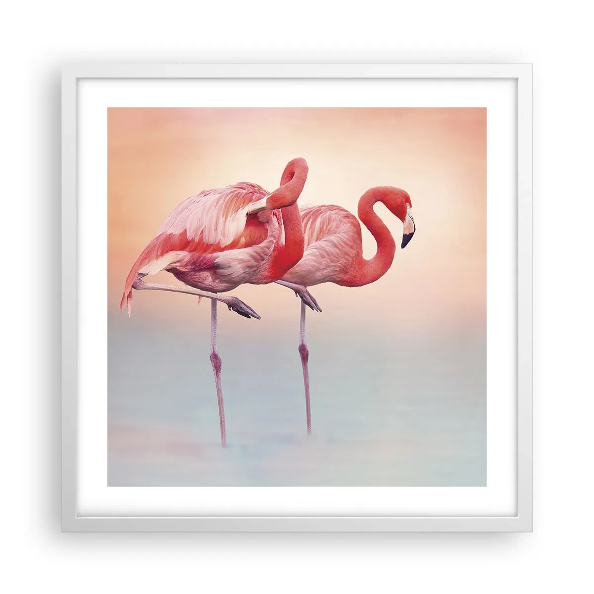 Poster in einem weißen Rahmen - Die Farbe der untergehenden Sonne - 50x50 cm